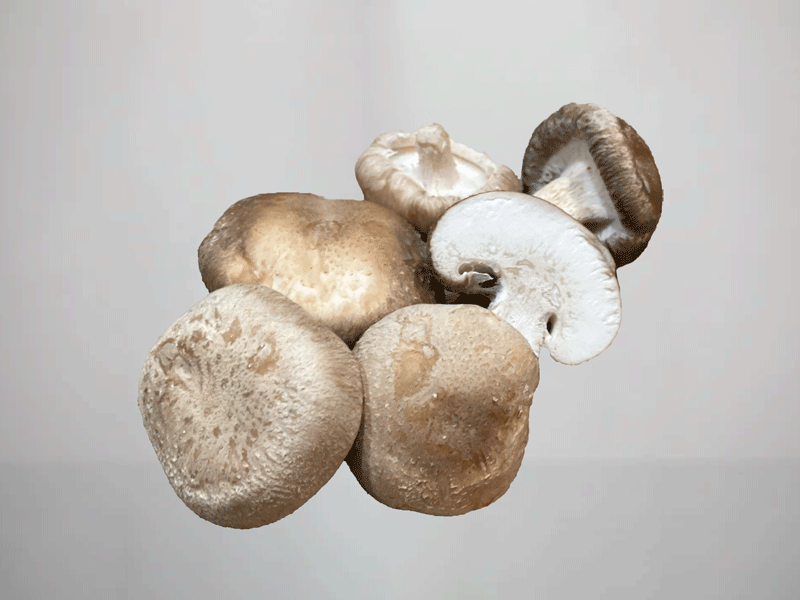 Avocado-Shiitake-Aufstrich